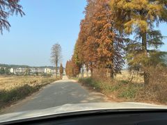 -抚州汤溪温泉