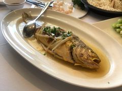 清蒸鲥鱼-老洋房花园饭店(绍兴路店)