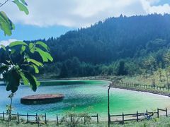 -武陵山森林公园