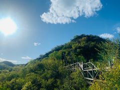-大岭沟猕猴桃谷风景区