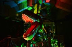 -恐龙探索乐园(磁器口店)