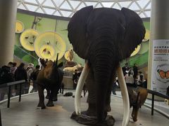 -陕西自然博物馆