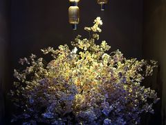-墨锦轩·5D影院足浴·SPA(高新店)