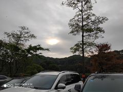 -广州市帽峰山景区