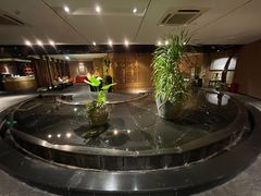 -青藤茶馆(凤起路店)