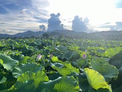 -古田会议纪念馆