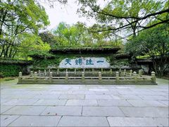 -鲁镇