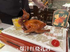 -大鸽饭(动物园店)