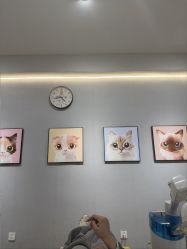 -黑羊博士