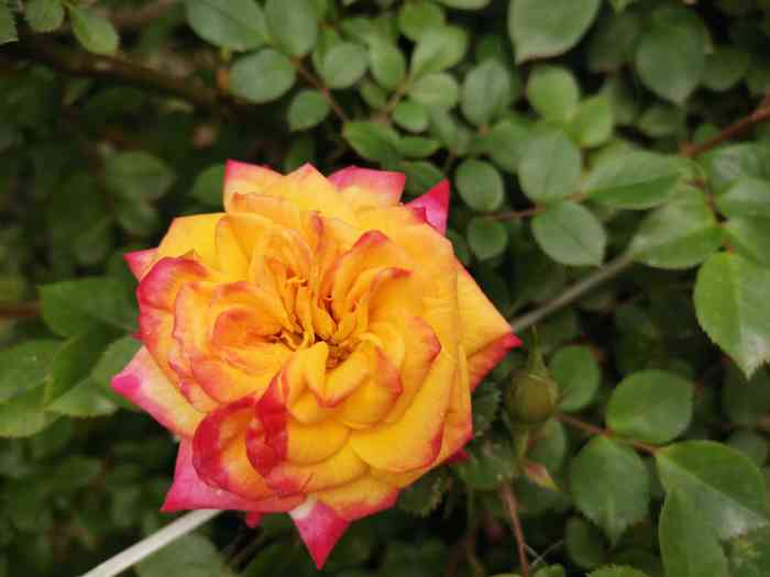 鹿鸣岛景区-"今天八月十五国庆假期第一天带着老婆孩子和.