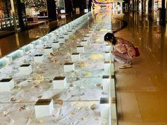 -青岛贝壳博物馆