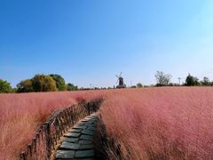 -羊亭河湿地公园