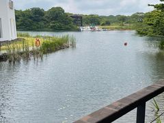 -济州森林小火车生态公园