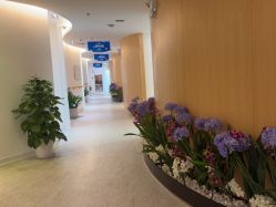 -天津伊美尔医疗整形美容专科医院