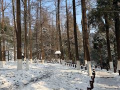 -莫干山风景区