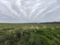 -敕勒川草原