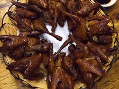 -百利鸽王(紫薇路店)