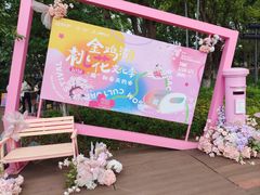 -金鸡湖桃花岛