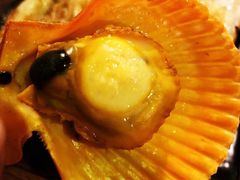 -土蚝·高压锅生蚝(百姓美食街店)