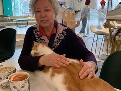 -飞行喵MR PILOT|猫舍·猫咖(静安大融城店)