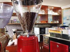 -OLD TREE老树咖啡·西餐厅(台山人工湖店)