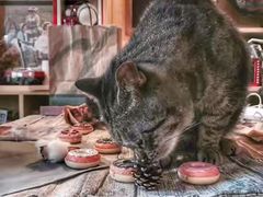 -云端咖啡私房店(河松街店)