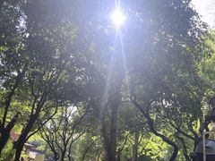 -桂林独秀峰王城景区