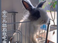 -小意思咖啡店(草桥店)