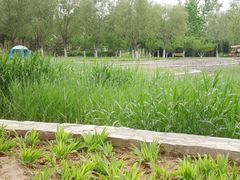 -永定河休闲森林公园