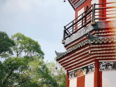 -顺峰山公园