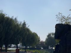 -荷花大观园