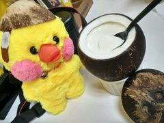 -志龙皇冠吃货椰子铺