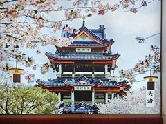 -蜜桃餐厅·伴山(绿宝广场店)