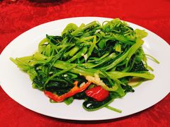 -蛇口康乐快餐鱼仔档(翠苑小区店)