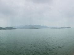 -望湖烤鱼