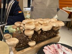 -椰子营·椰子鸡火锅(万象里店)
