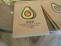 -油梨树AVOCADO TREE(望京店)