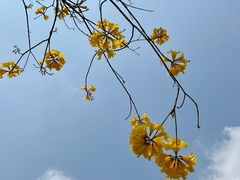 -怡海公园(桂城街道)