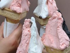 -柠檬车露(卖草地店)