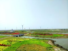 -启东黄金海滩景区