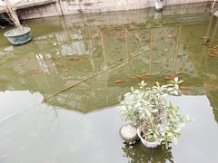 -万小金辣椒炒肉(三经路店)