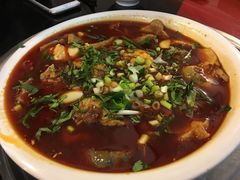 折耳根-花水湾红太阳牛肉汤锅