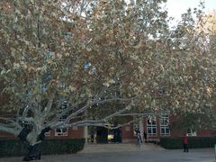 -北京市海淀外国语实验学校