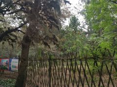 -北海金海湾红树林生态旅游区