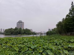 -江南大学(蠡湖校区)