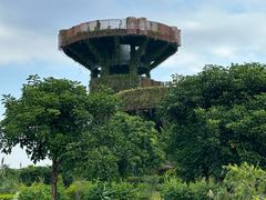 -芒洲湿地公园
