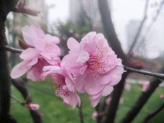 -罍+村卤菜摊(罍街店)