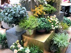 -大树餐厅(红旗街万达店)