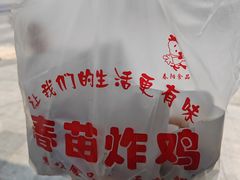 -春苗炸鸡