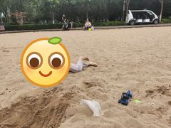 -大兴滨河森林公园